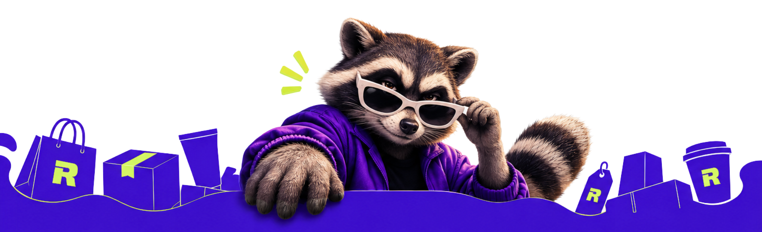 Raccoon Media